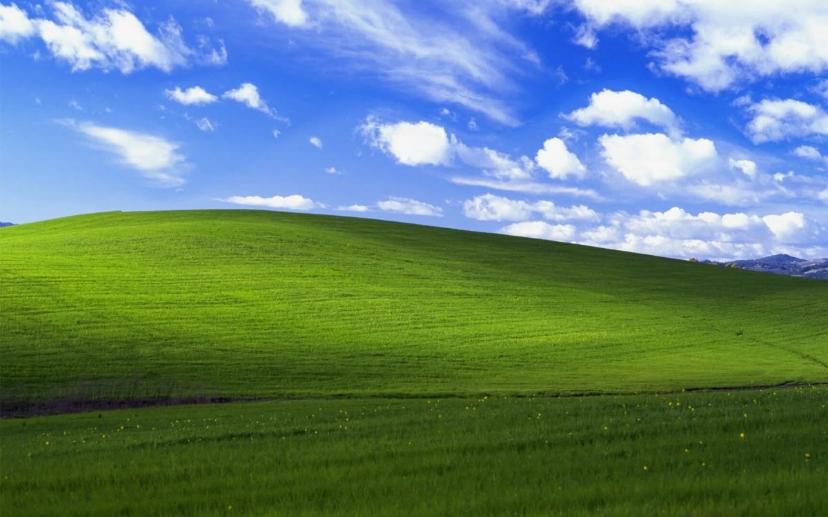 Campo verde e céu azul